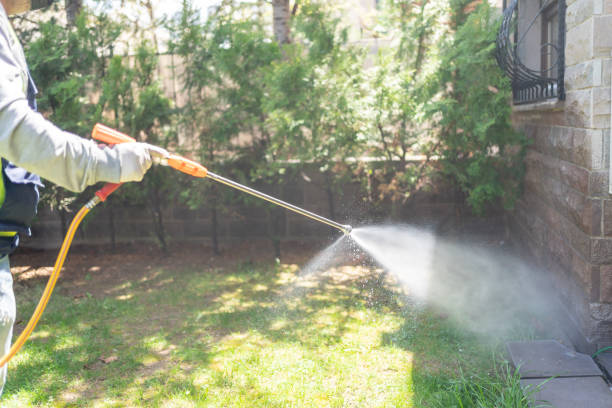 Best Local Pest Control Services  in Greenville, MS